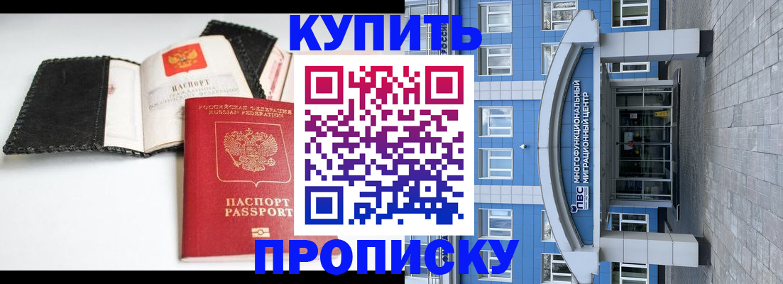 прописка гарантия в Шилке